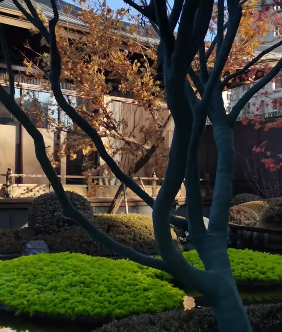 许多人在问，2026年能出手购买京房吗？答案在这里！

2026年能在北京出手买