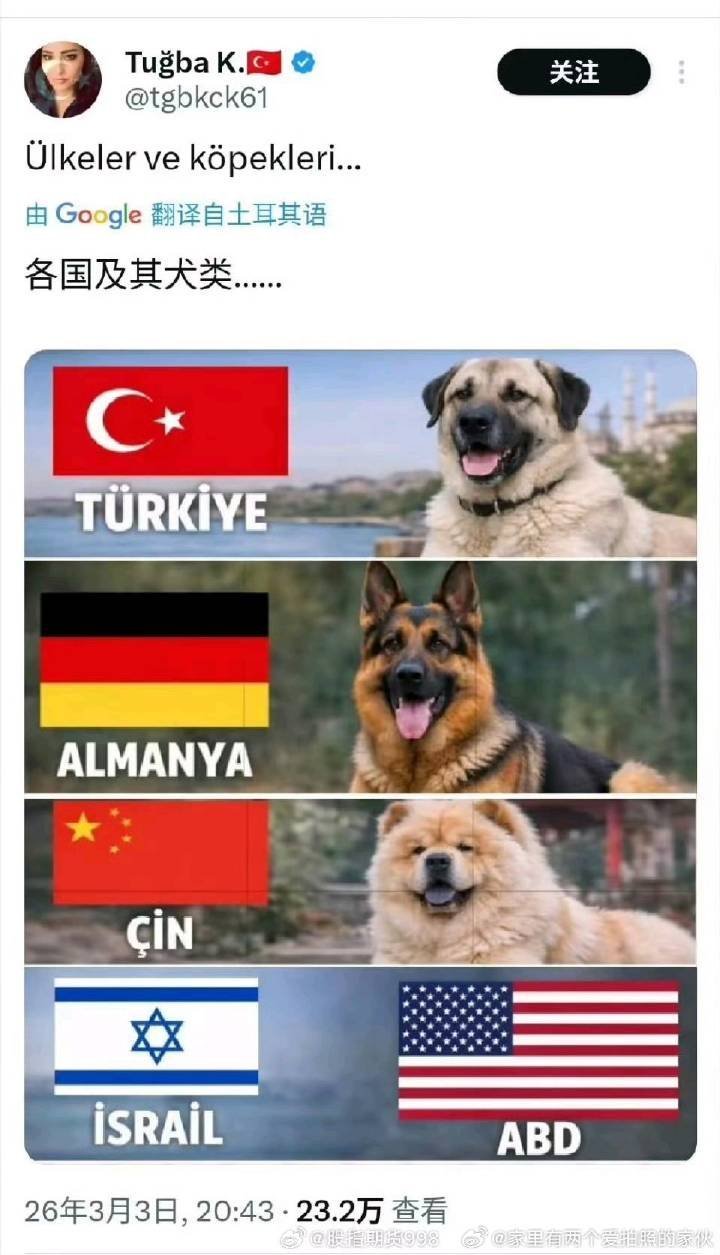 各个国家及其犬类 