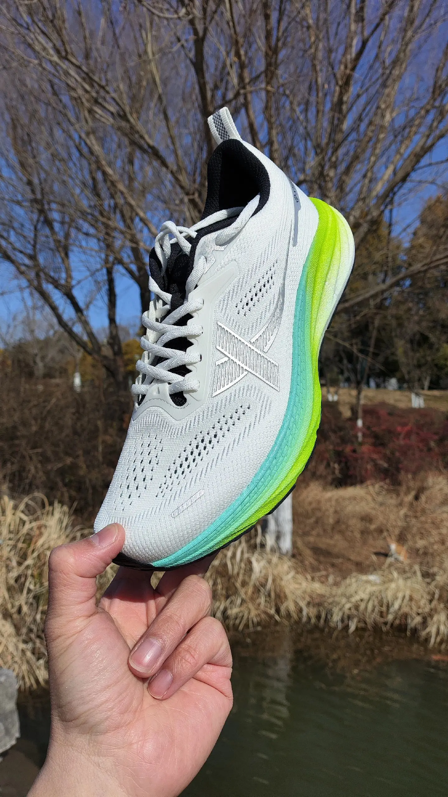 跑者，你喜欢吃【香菜】吗？