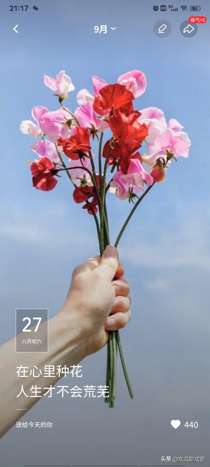 加油，搬砖人[送自己一朵花]