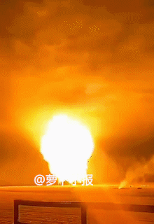 中国烟花又搞事情
这款烟花被命名为“广岛之恋”
网友：难道长崎就不配拥有一款以自