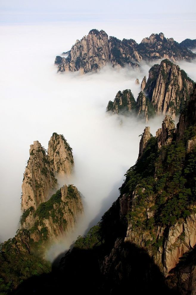 人世终将被花和山水冲淡。——林东林