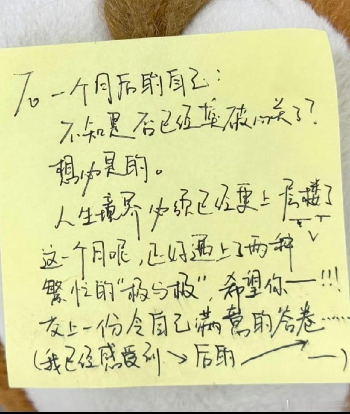 杨博文历经一个月公开的便利贴综艺录制的日常忙碌充实，他悄悄写下给自己的寄语，一个