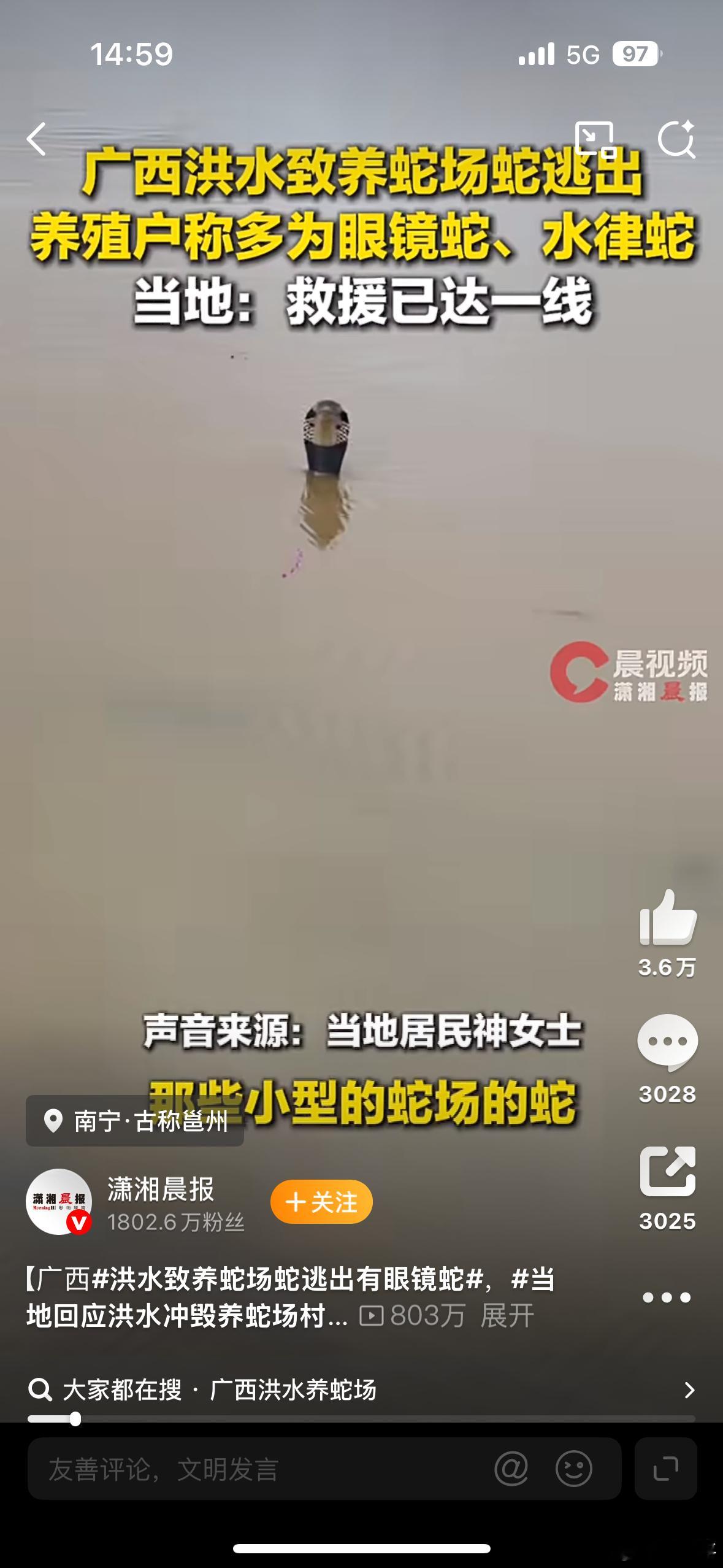 洪水致养蛇场蛇逃出有眼镜蛇看视频都吓我一激灵，有种被盯上了的感觉。