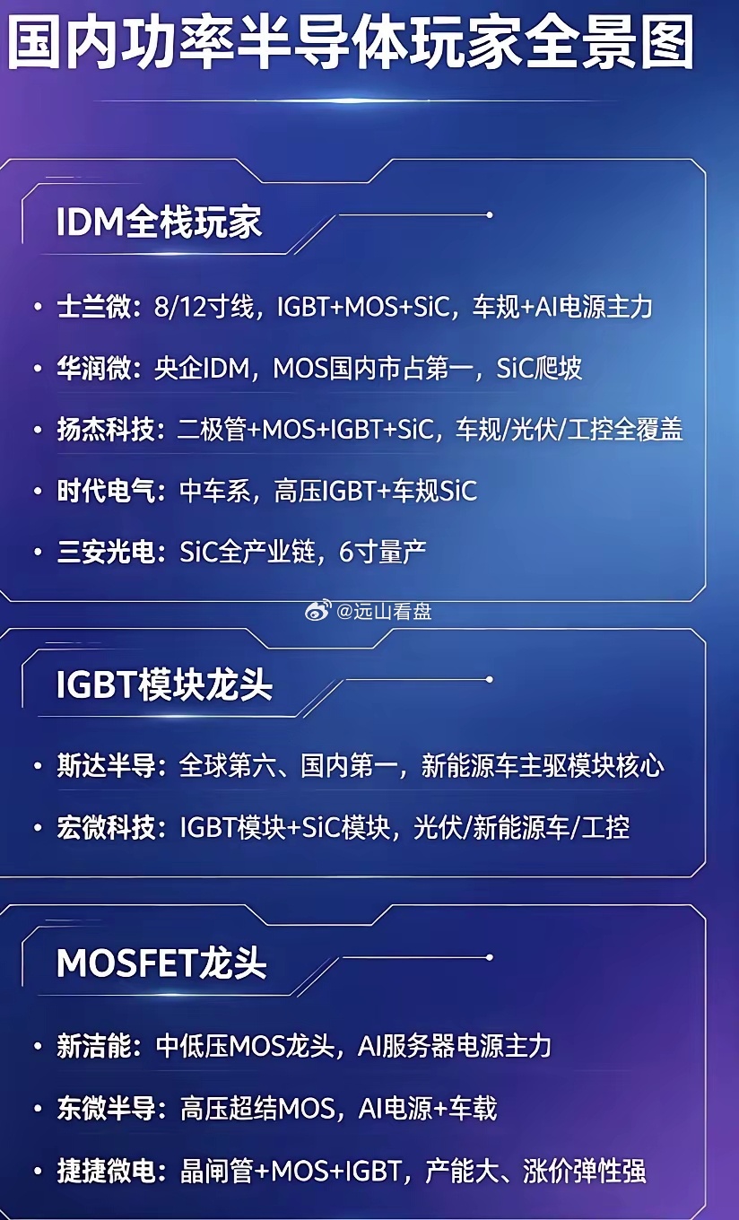 功率半导体龙头企业有哪些，请看网上总结的结果①士兰微:  IGBT+MOS+Si