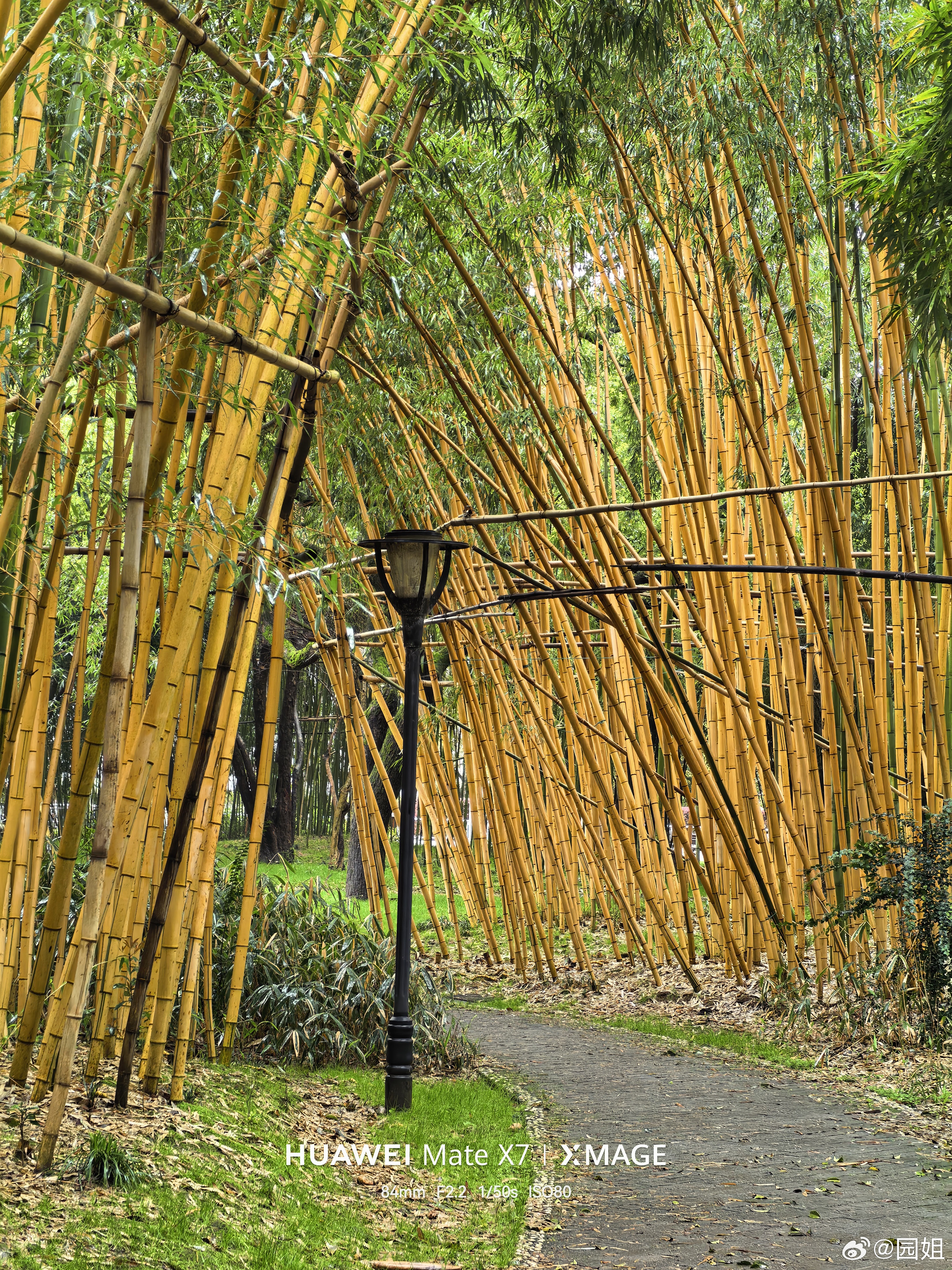 橘子洲最热的应该就是伟人雕像，除此之外就是环境不错，一个非常不错的公园，人不多可