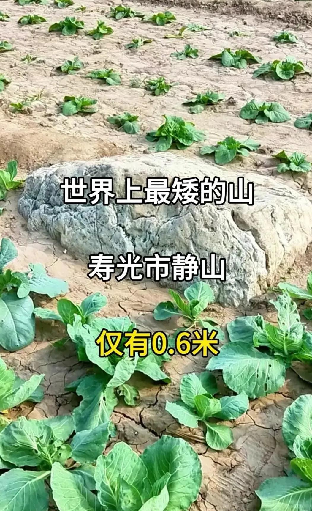 世界上最矮的山静山，山顶距离地面只有0.6米，矮的让人惊叹！中国山东省寿光市的静