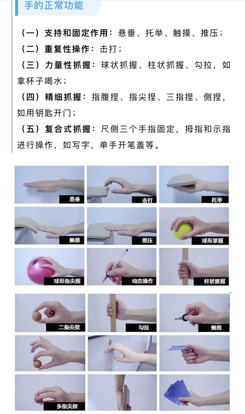 手功能｜原则｜目标｜评定