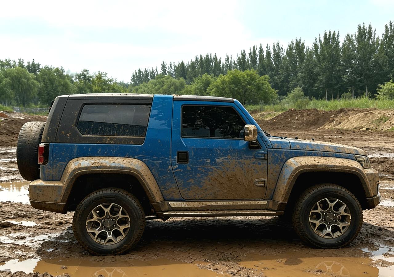 中国车企出海，一定要找到属于自己的，或者是能适应自己节奏的体系。你看到的国外知名