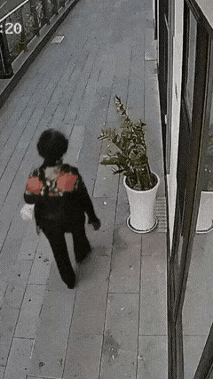 不用想为什么，这个女的就是单纯的坏，故意磨磨蹭蹭东张西望的，然后用右腿登翻了花盆