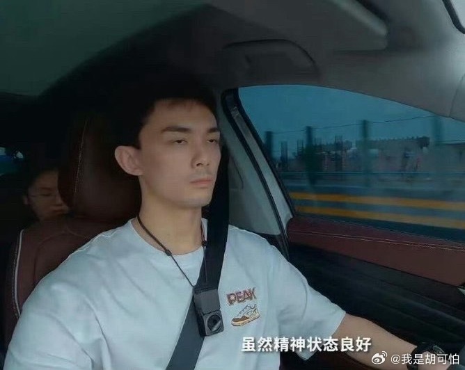 吴磊，世界尽头的另一个我！这张开车图，又帅又累又好笑，存图当表情包没跑了。吴磊 