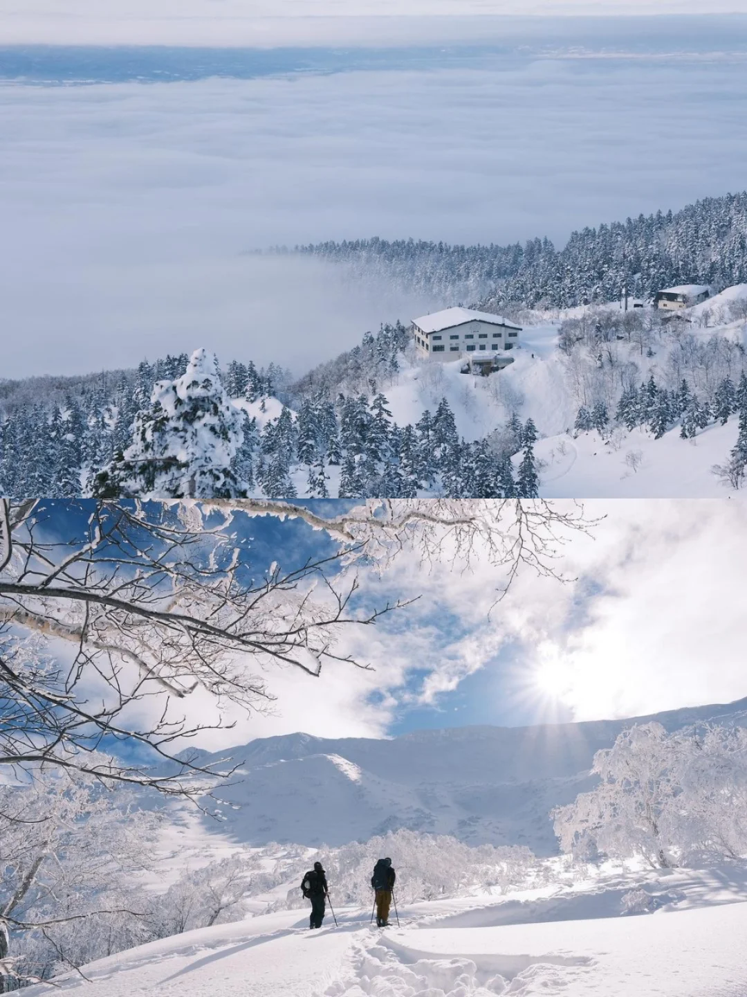 不泡等于白来❗北海道3大露天雪景温泉♨️