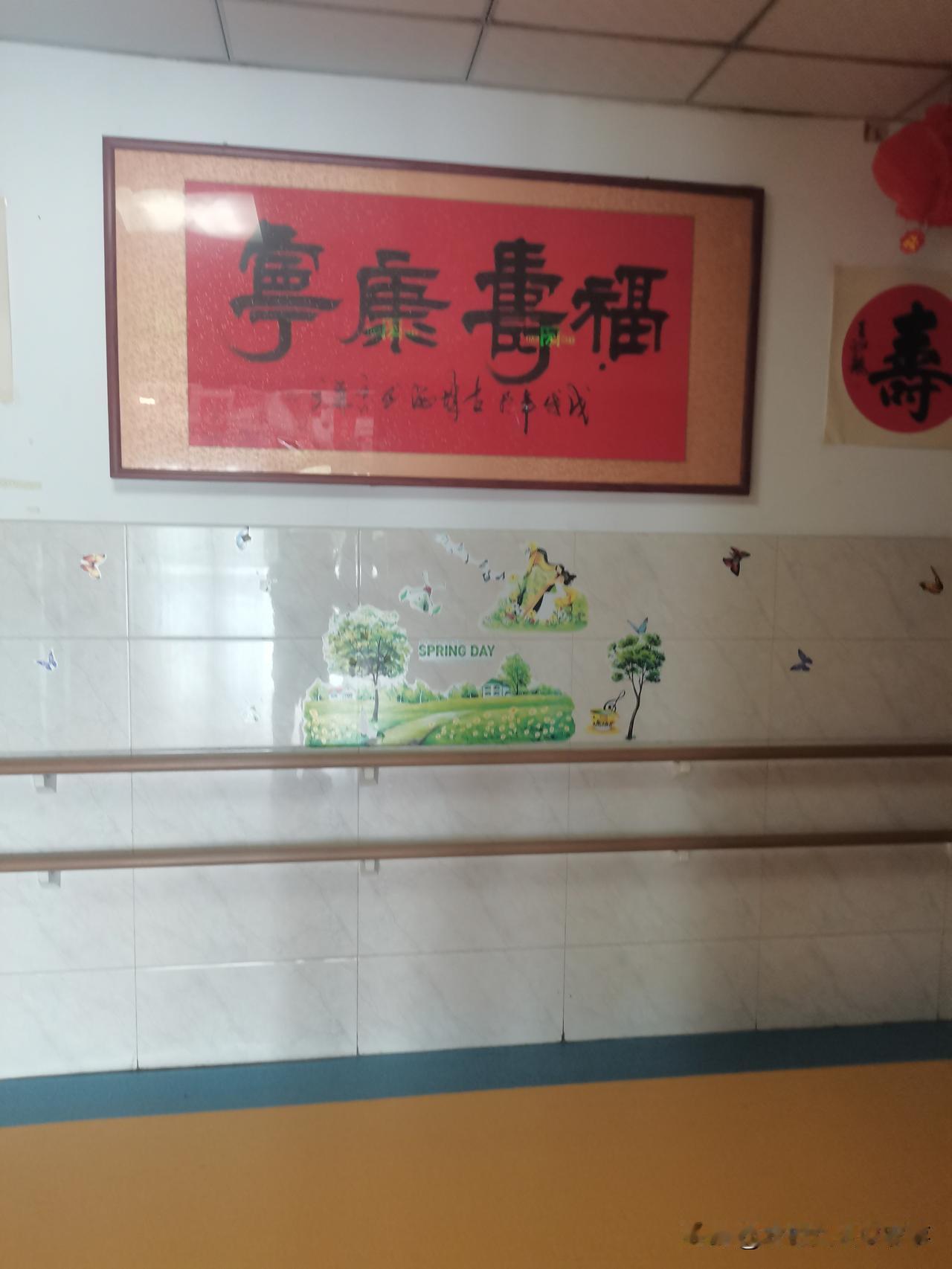 跨越千里，就为了赶在重阳节看老娘。
老娘看到我，并没有我预想的那样泪眼婆娑。
和
