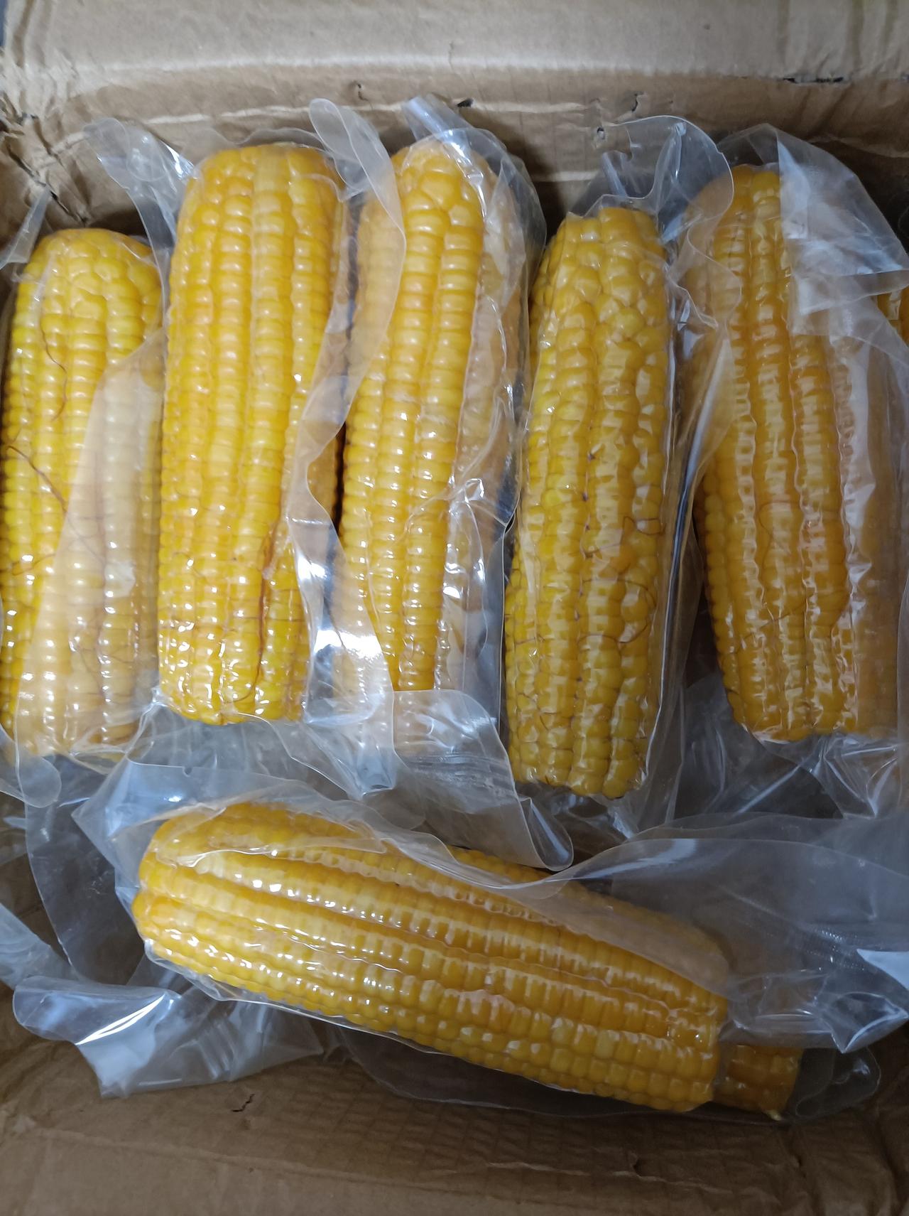 晒出我的今日美食我儿媳妇买网上买的黑龙江糯玉米，好吃，一下子买了好几箱，每天2个