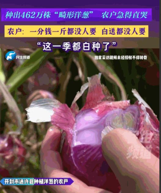 真是丧尽天良！6月6日河南广播电视台民生频道报道，河南开封，农户们本指望能有个好