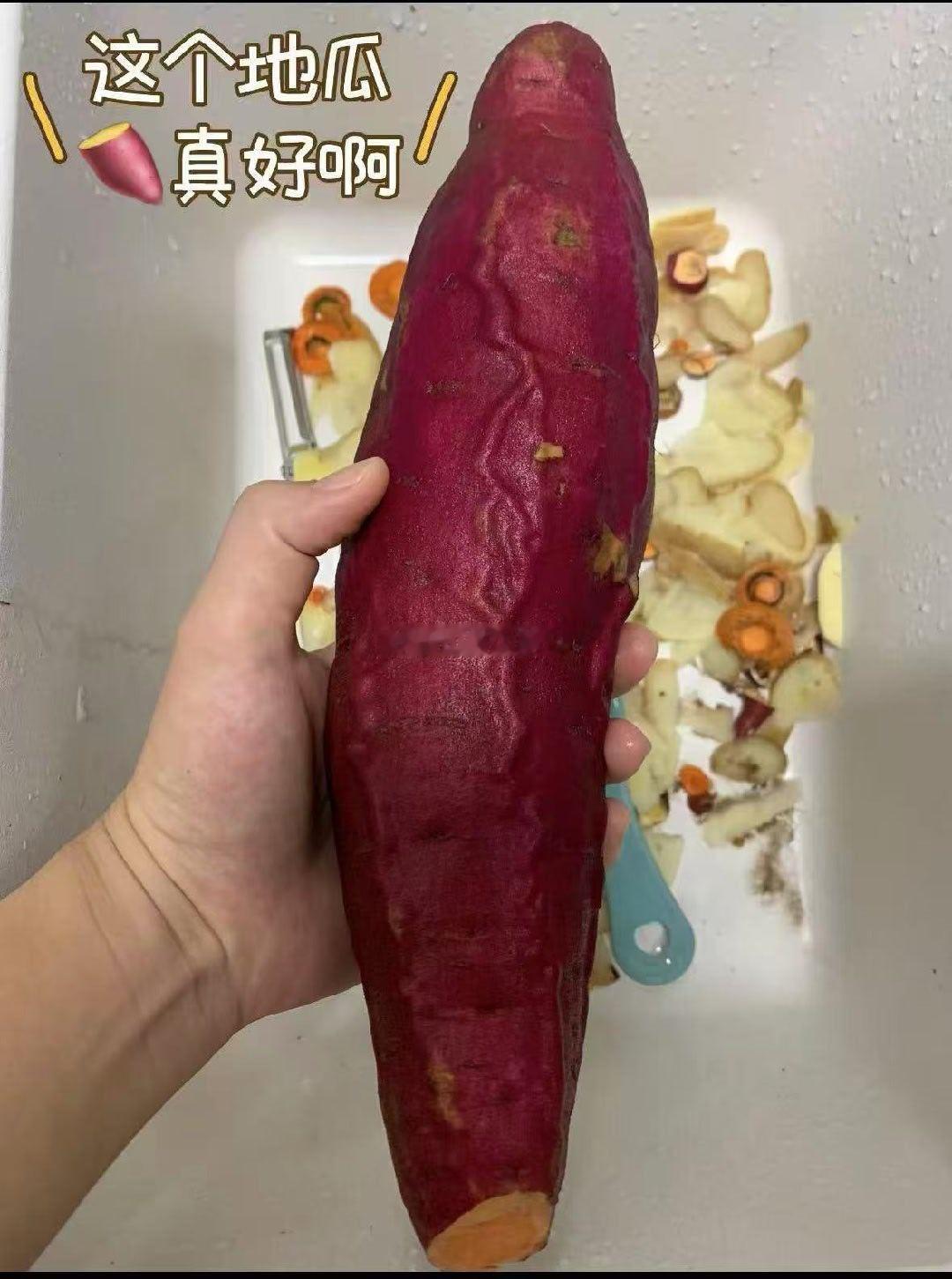 哇，真的好大啊！ ​​​