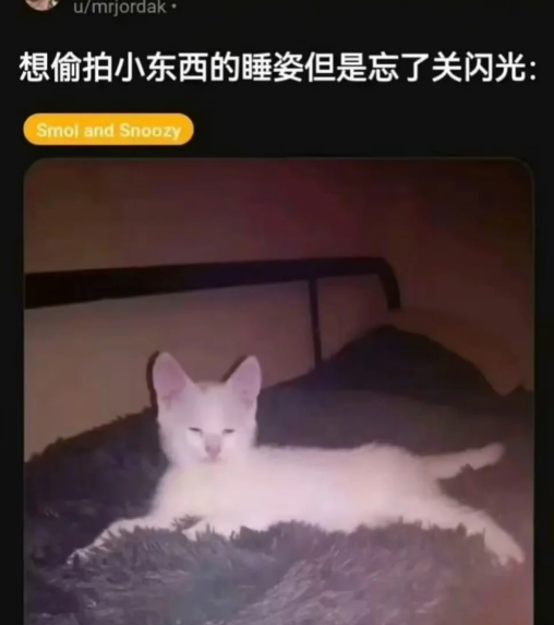 干嘛... ​​​