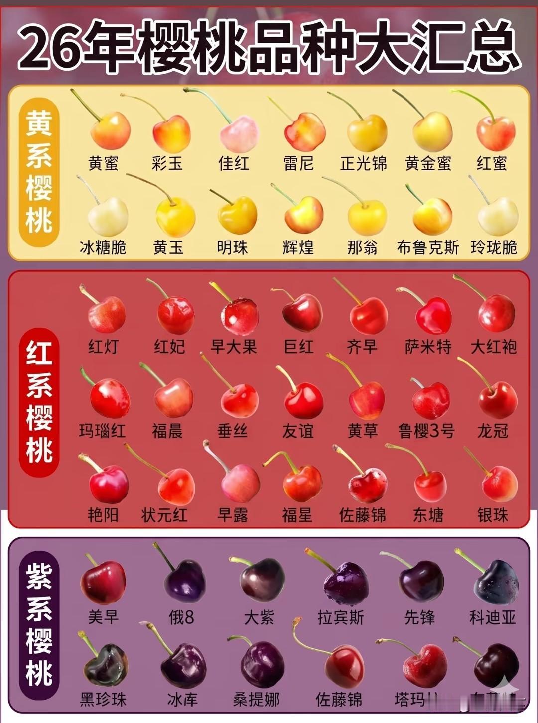 樱桃品种