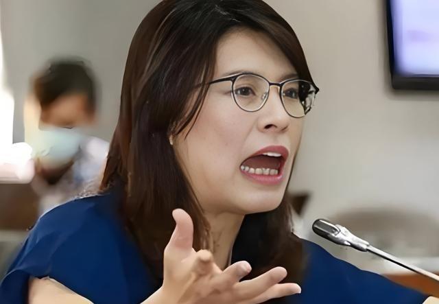 台湾蓝营终于摊牌了！郑丽文公开拒绝“一国两制”，不再模糊回避。这记重拳打向何方？