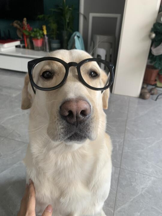看着就没啥学问🤓