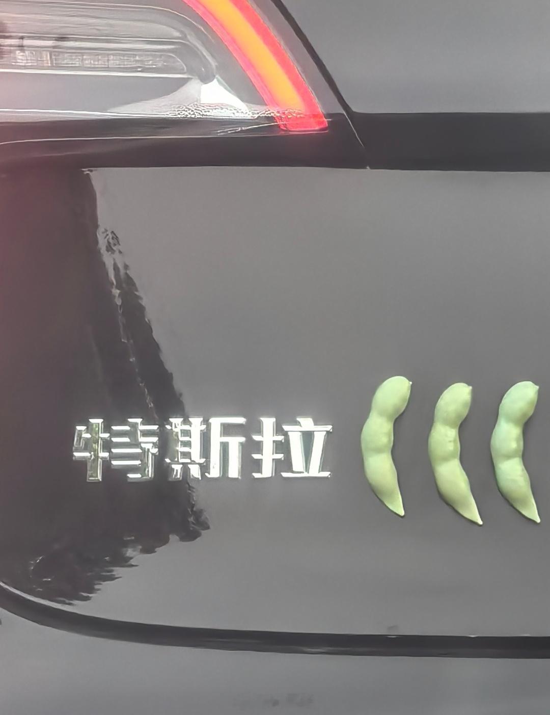 特斯拉model3，毛豆三 