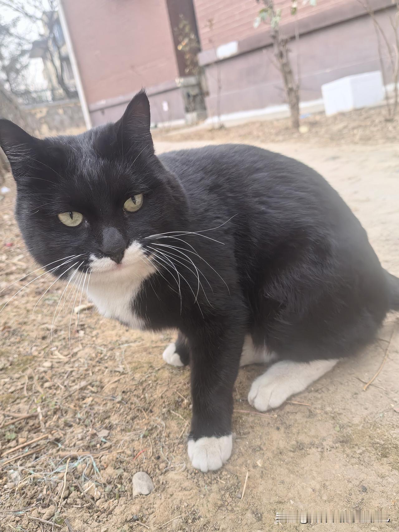 你减肥的最大障碍是什么?最大的障碍就是自己那颗珍惜粮食的心！

虽然我没有经历过