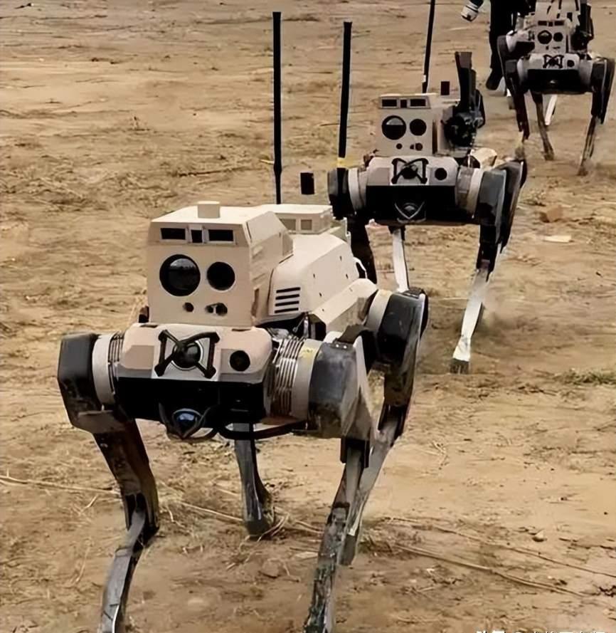 印度崩了：边境士兵在雪地发抖，中国却派出机器狼？这不公平！
 
想象一下这个画面