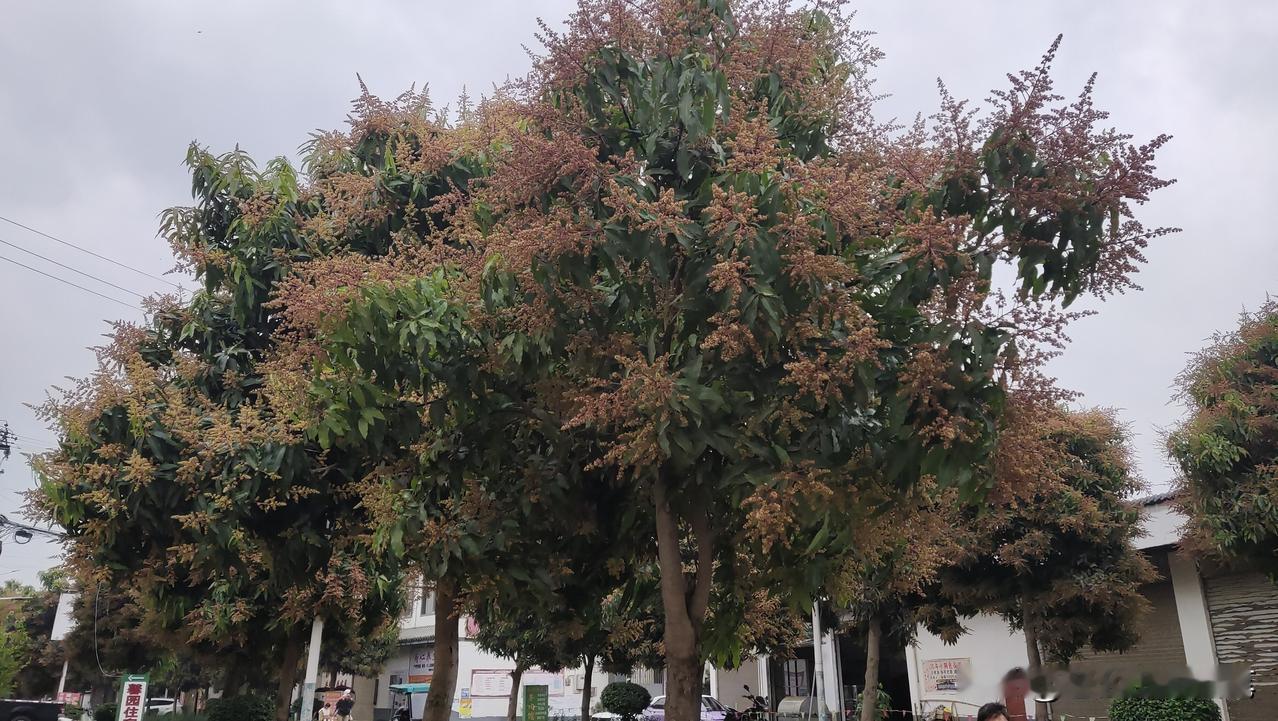 我觉得，雷总虽然作为大企业家，但是他知道现在的年轻人真的很累，无论这句话是真情流