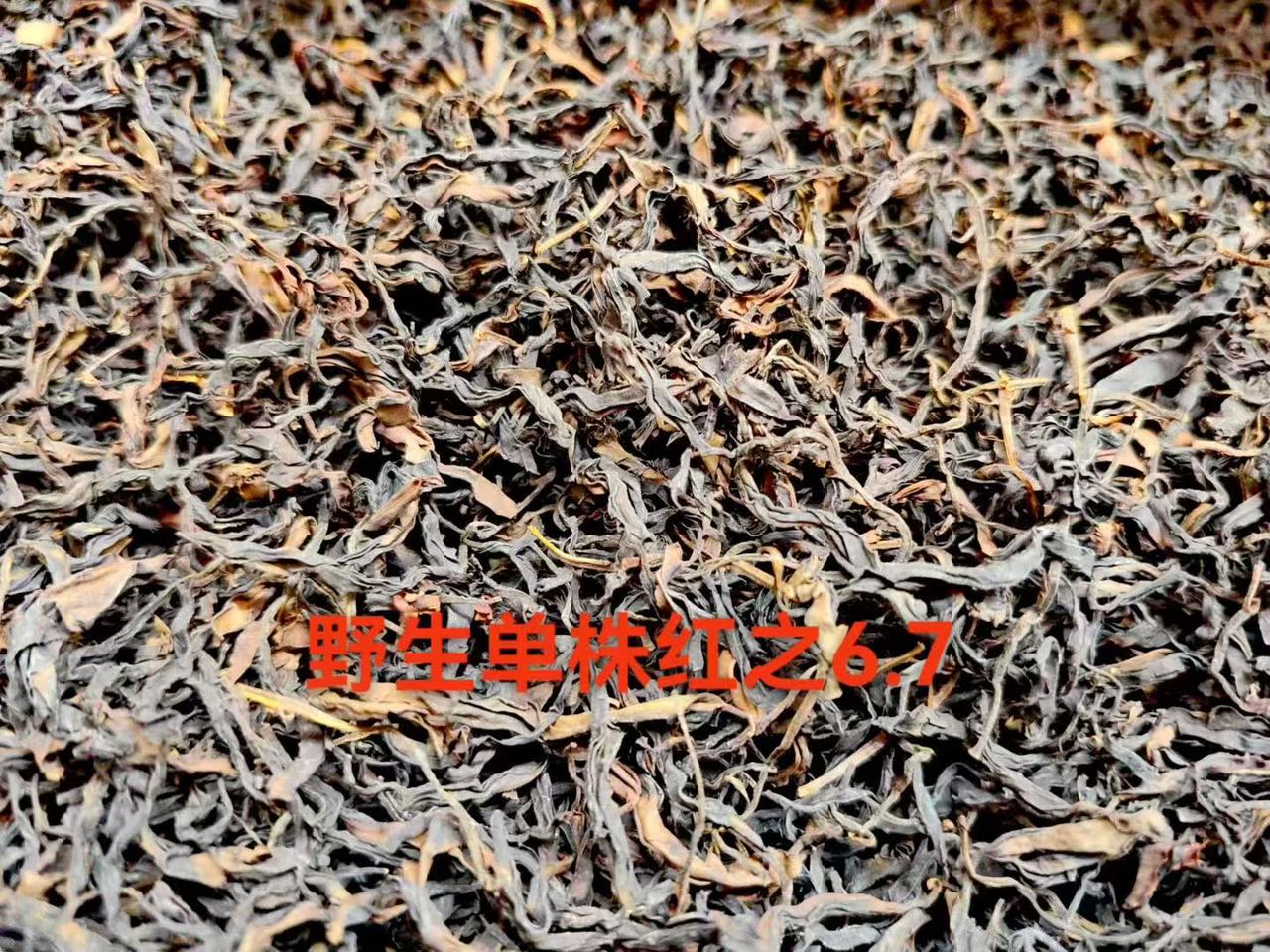 最近了解到两种云南野生古树红茶晒红和烤红，还有野生红里的小树茶～都是咱们中国云南