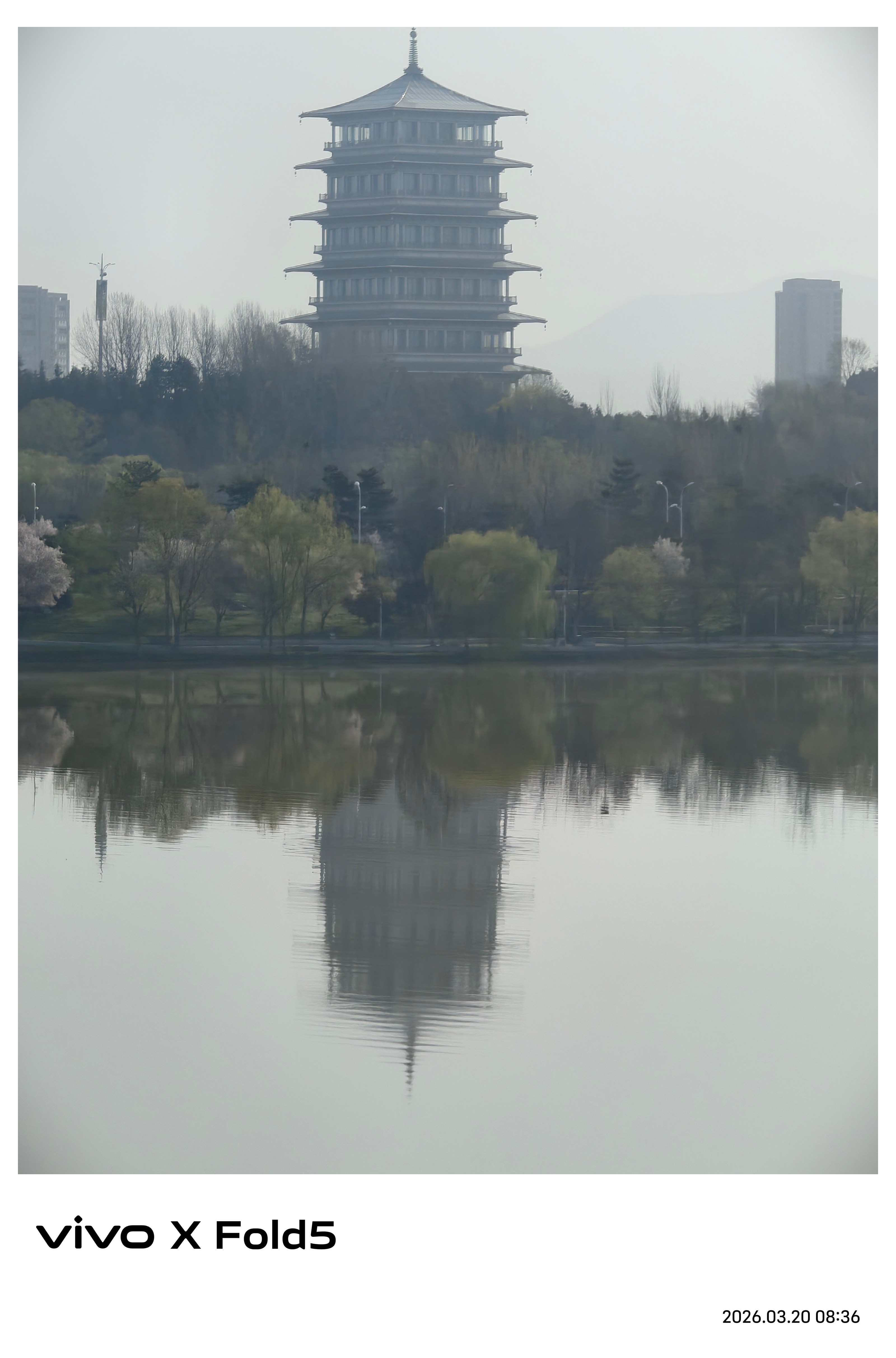 每天周五的时候就要拍一张这个塔