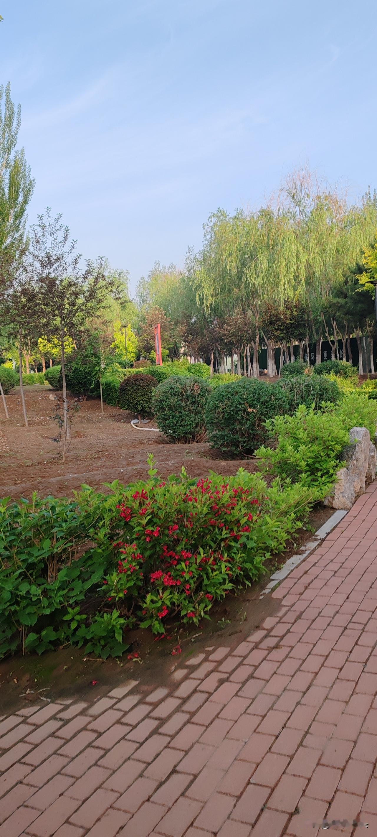 除了下雨或者是天气不好，
每天早上5点钟出来走圈，
公园遇到的都是我这个年龄的人