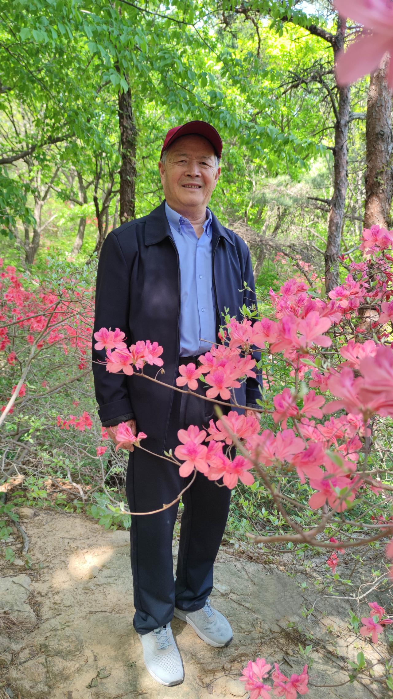 奇秀不减雁荡，
​风景这边独好。
​
——​五莲山映山红风光剪影。