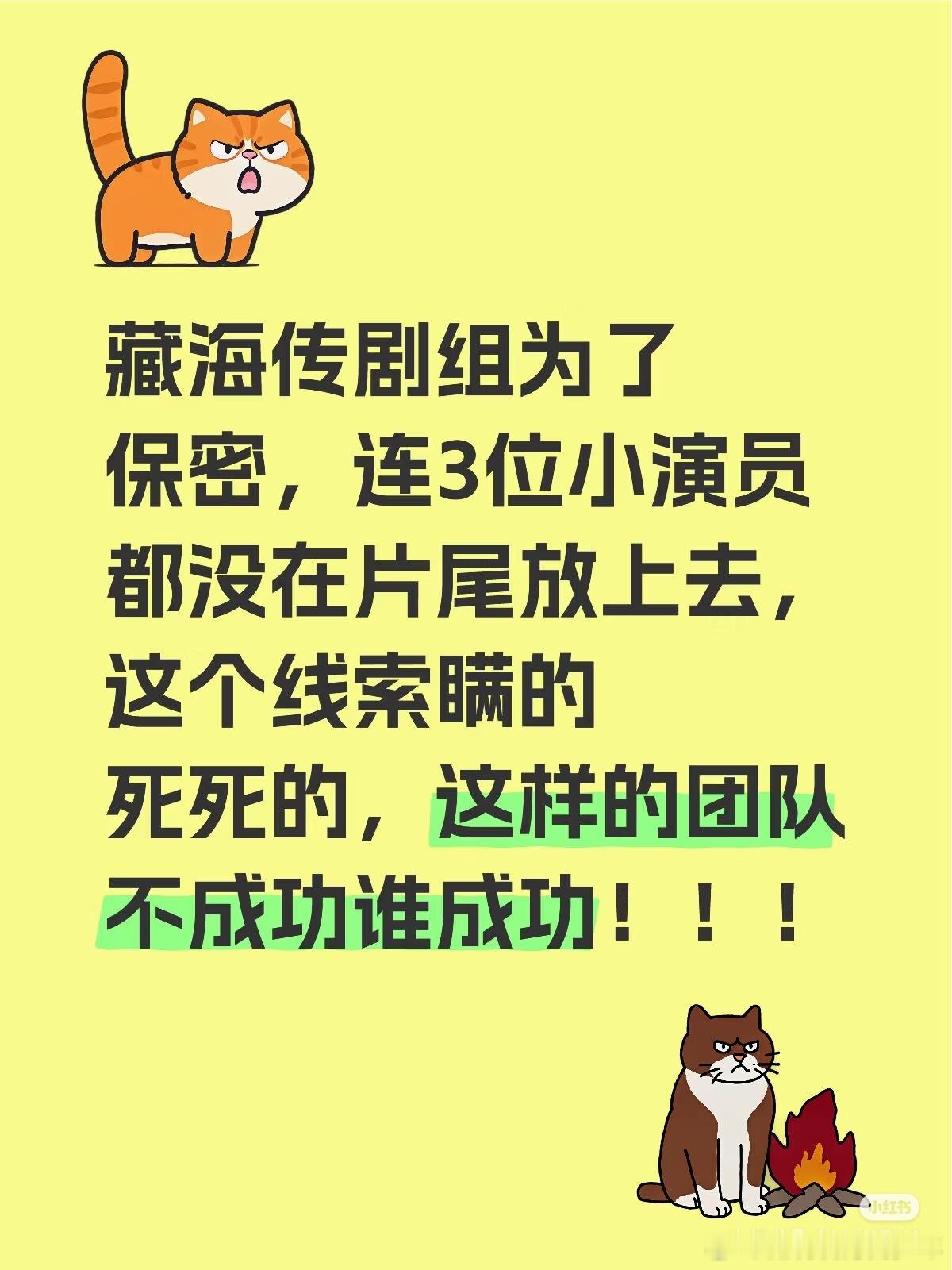 藏海传就是一场巨大的剧本杀，海报啊，演员直播啊都在放烟雾弹，而且是带观众入局的剧