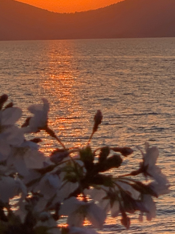 人一到群体中，智商就严重降低，为了获得认同，个体愿意抛弃是非，用智商去换取那份让