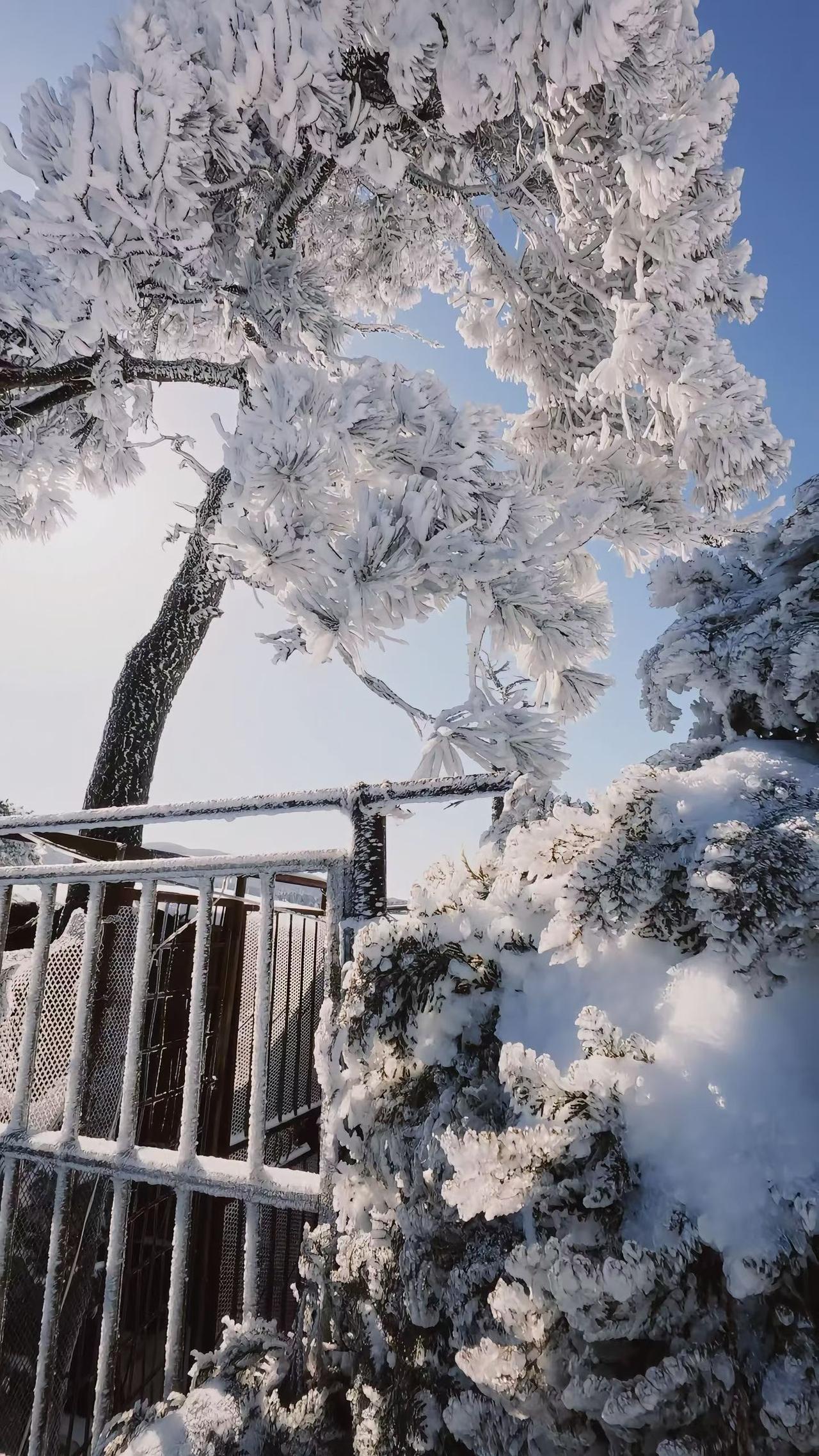 九江庐山——大雪纷飞