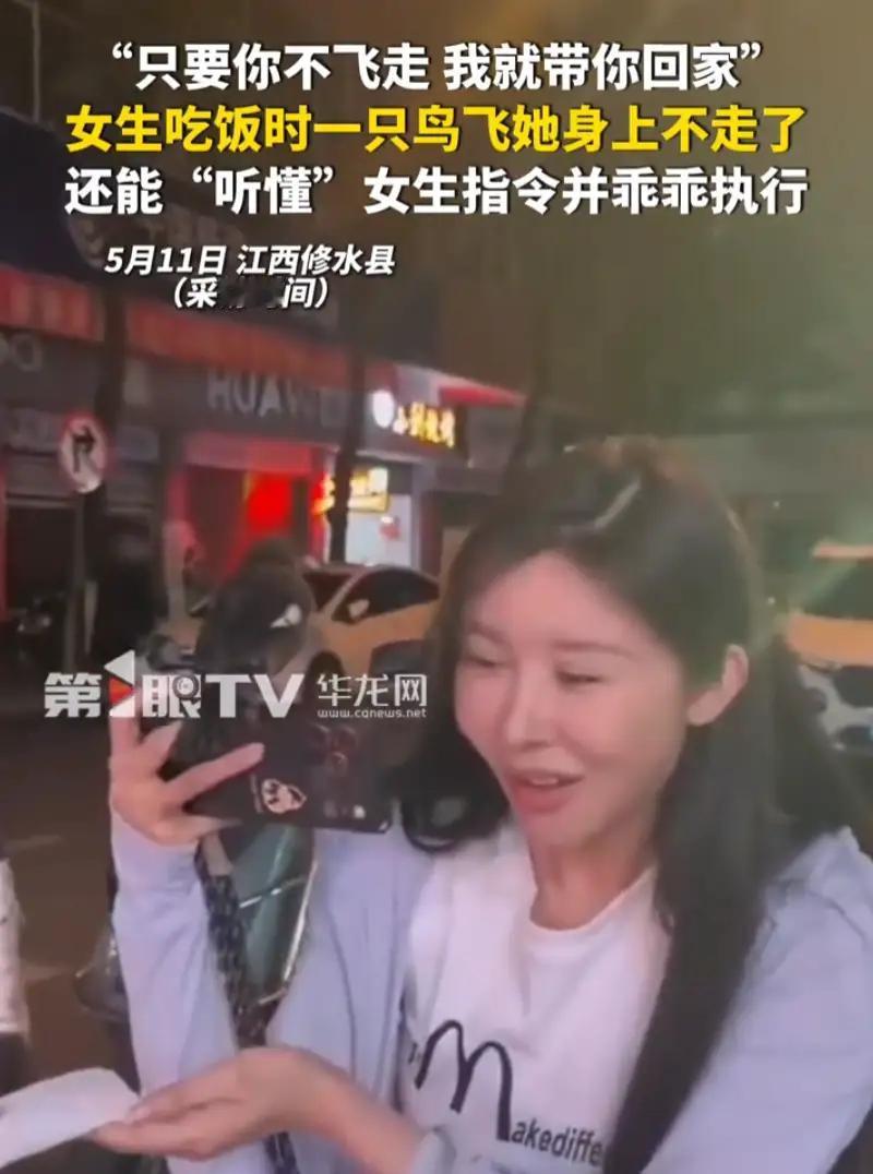 完整榜单

女生吃饭时一只鸟飞身上不走了——这到底是巧合，还是隐藏着我们未曾察觉