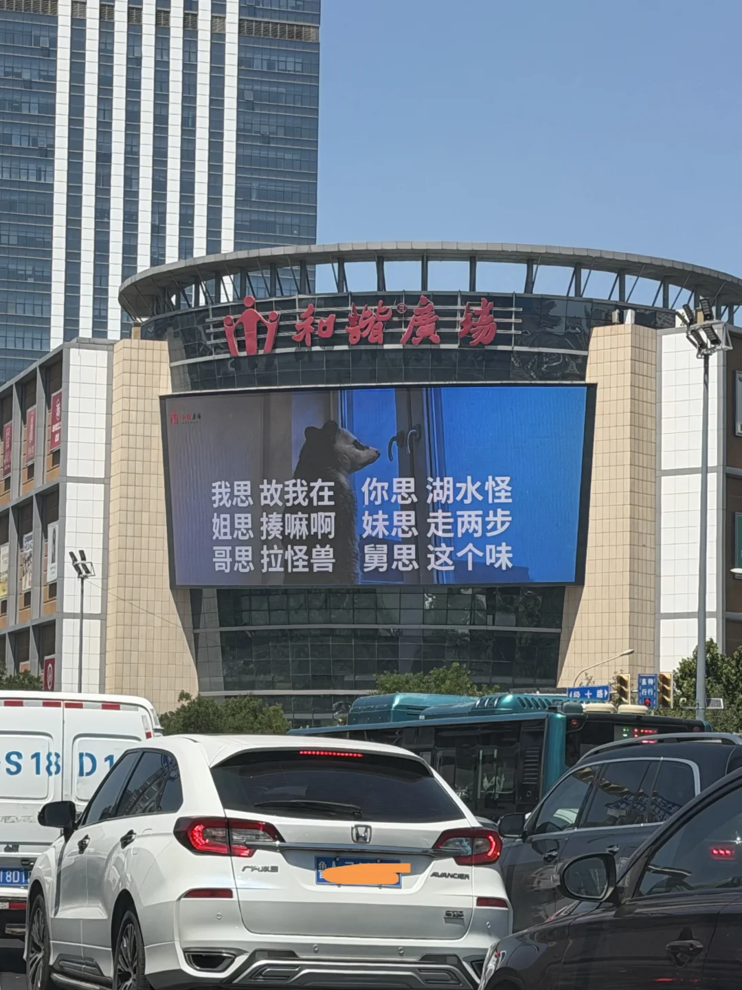 济南和谐你真的冲浪一线