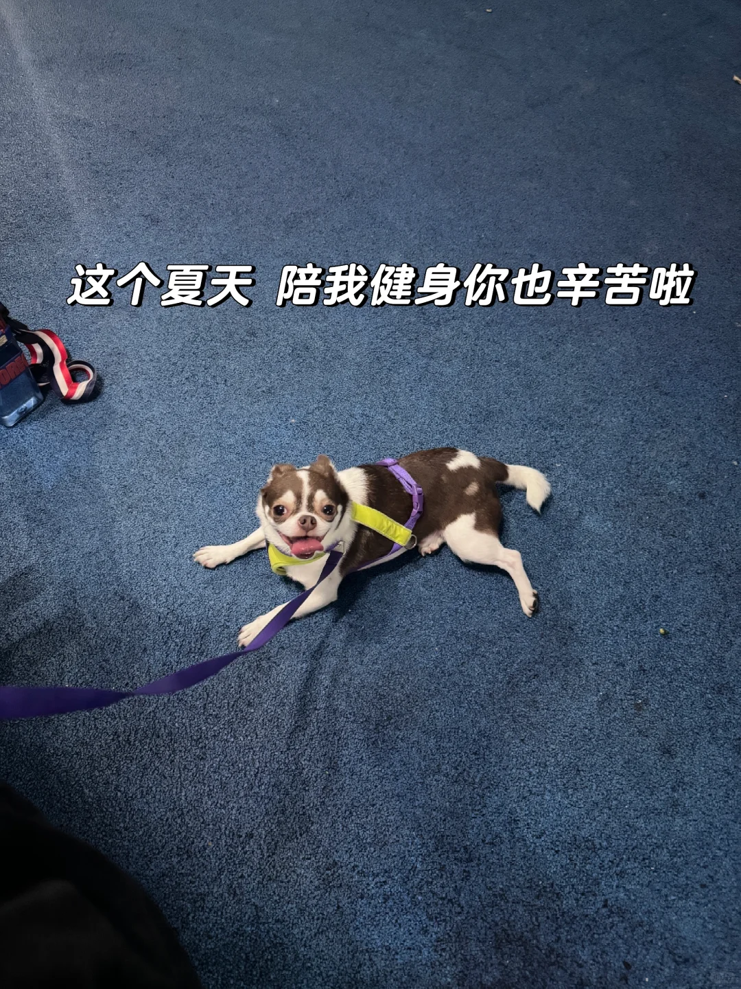 每一天都在身边跟自己生的有什么区别