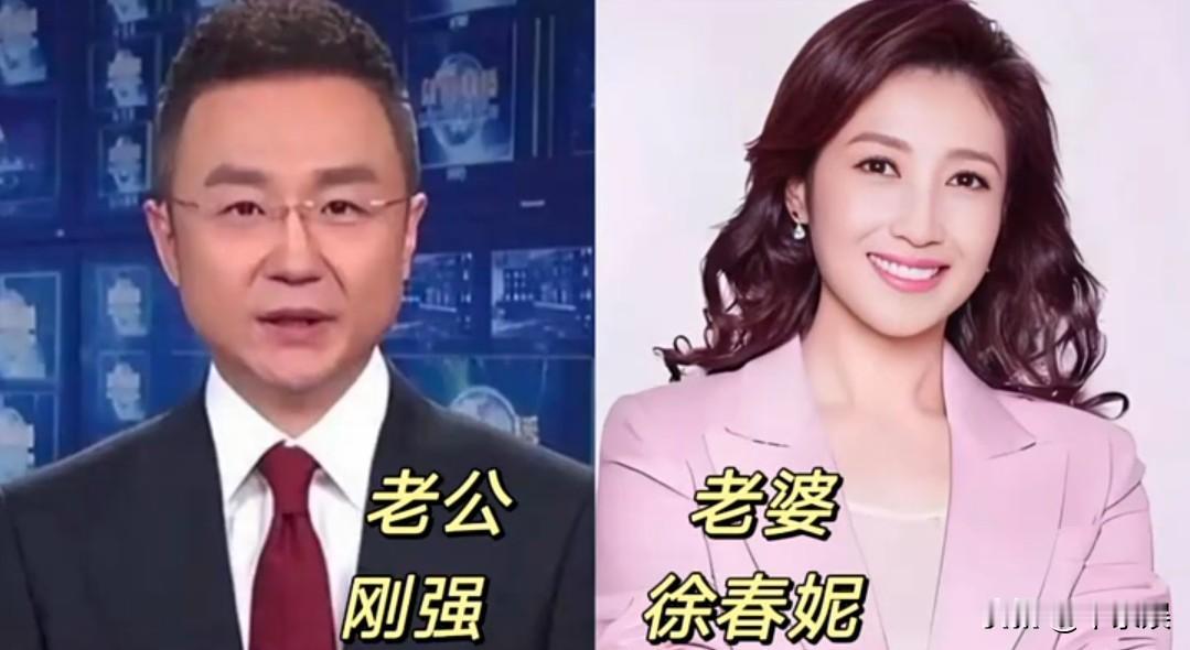 八位“央视主持人”夫妻颜值对比