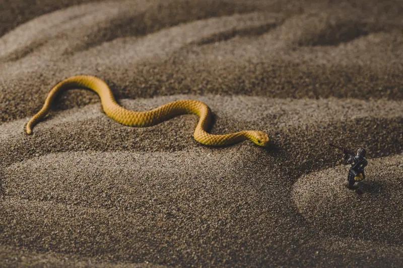 泰国这次洪灾太可怕了！南部宋卡府受灾尤其严重，合艾市21日单日降雨量达335毫米