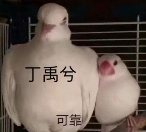 今天终于能见到我的笑兮兮了，你知道什么路透都看不到的日子我是怎么熬过来的吗[泪奔