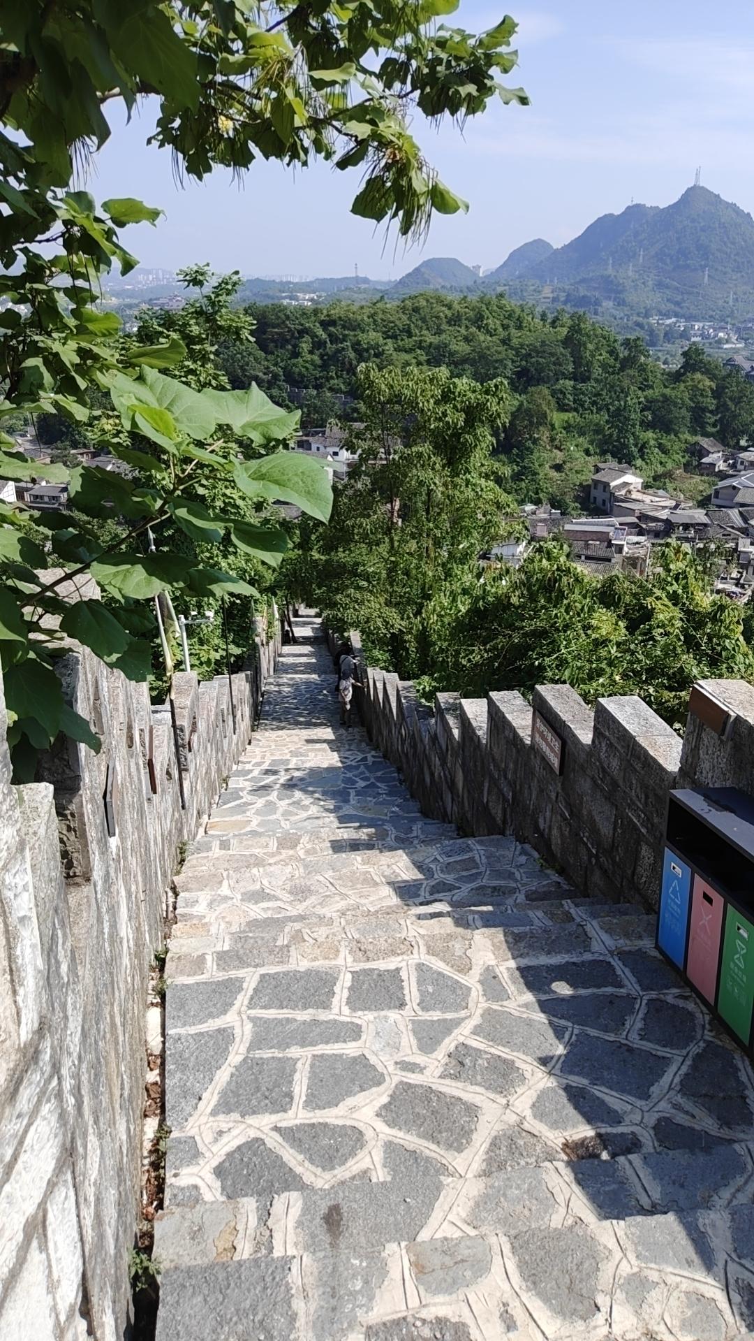 《石上生花》

山崖石缝，一粒种子被风雨击打，几欲凋零。它不怨环境恶劣，只默默扎
