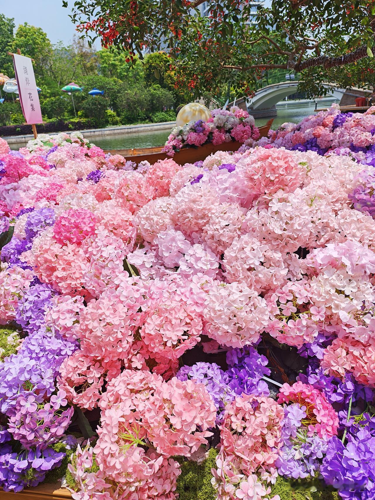 昨天刷到微信视频里，一个血透室医生，尖着个声音，摇头晃脑，一副很是不屑的表情，坚