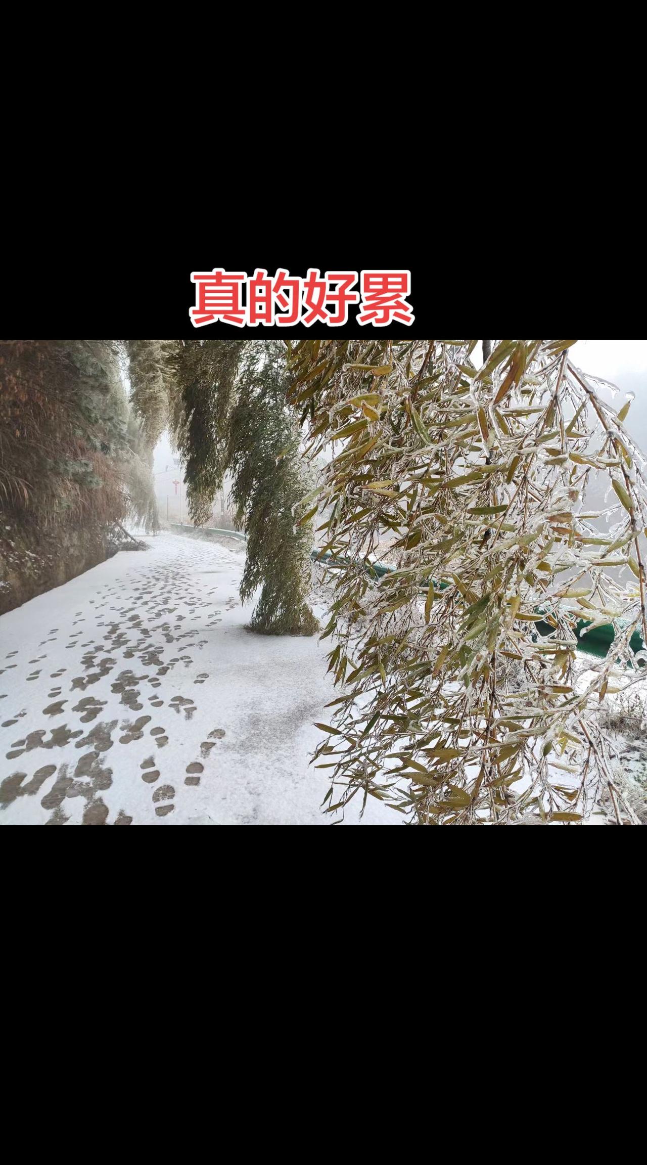 余生为己真的可以吗？抖音玩法合伙人计划