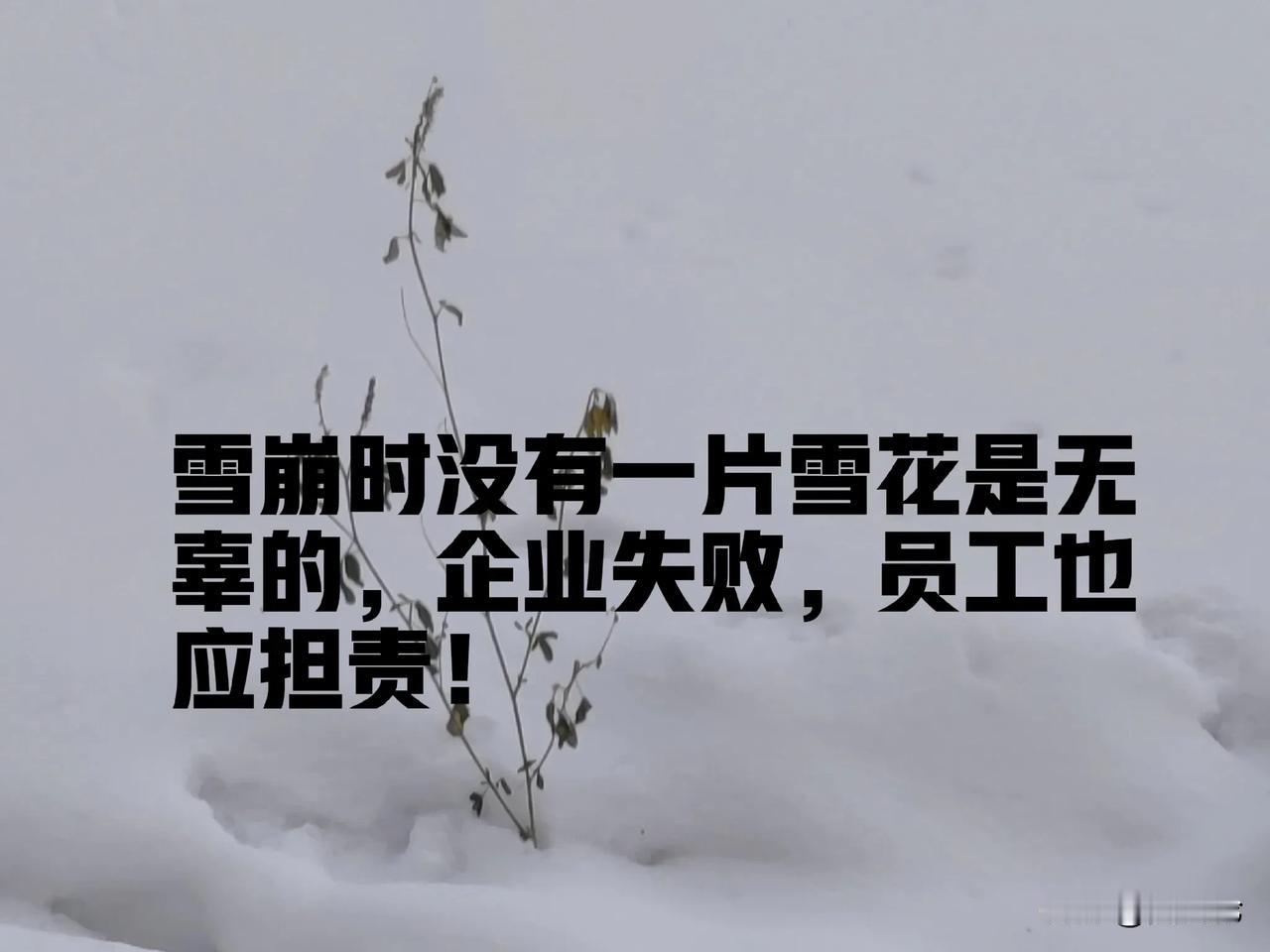 极越汽车公关总监说，“雪崩时没有一片雪花是无辜的”，言下之意，企业经营陷入困境，