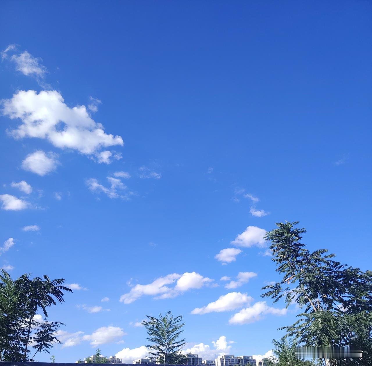 七国发出联合声明：

1月6日，法国、英国、德国、意大利、波兰、西班牙和丹麦七国