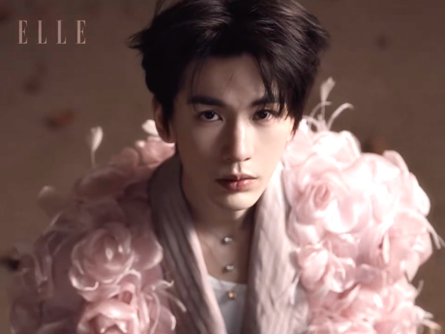 末日里的花朵王子🌸封面呢内页呢大片呢我现在就要看张凌赫末日里的花朵王子张凌赫E