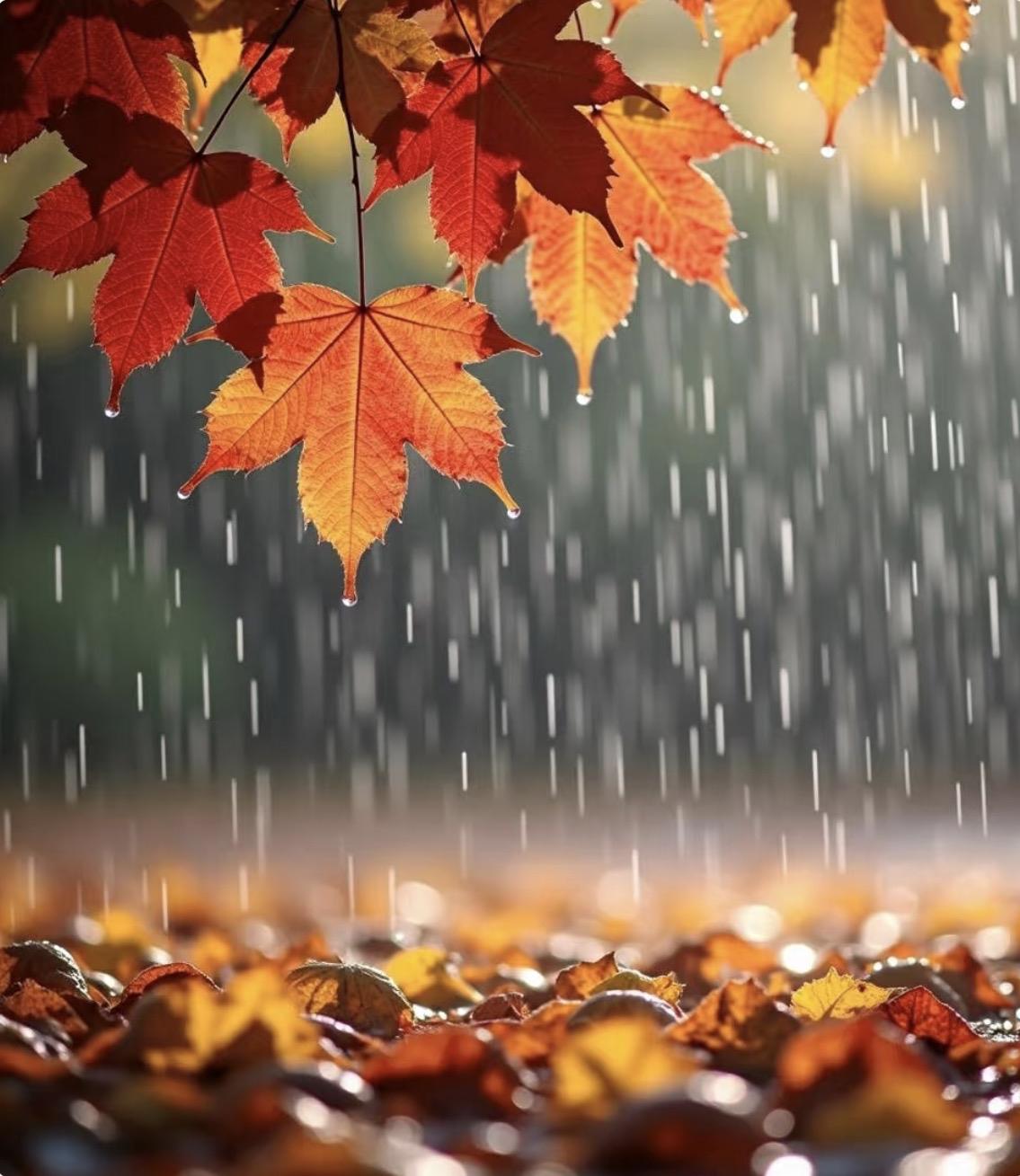 上联：秋雨无心敲落叶
下联：寒江有意载孤舟