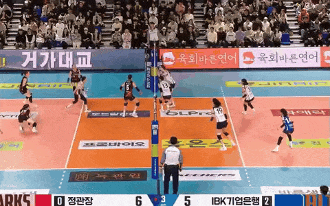 国际排坛动态韩国女排正官庄   2-3（16-25/22-25/25-22/25