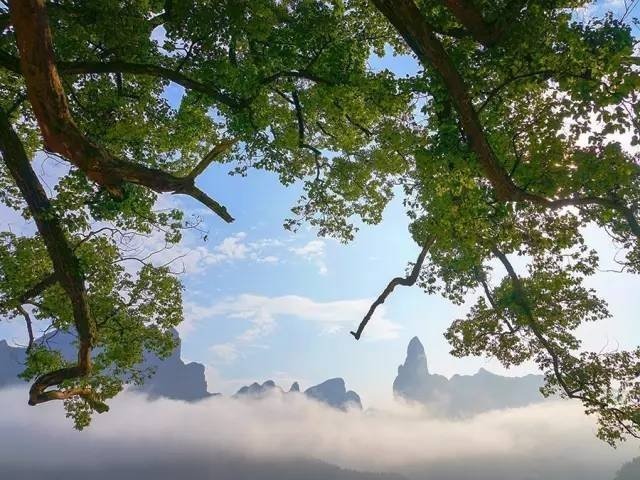 浙江仙居县田市镇公盂村，一生必去的最美村落，徒步2小时才能到达的江南秘境！ 